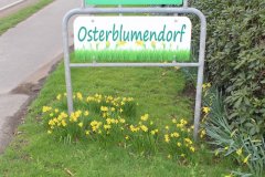 Osterblumenfest_01.jpg